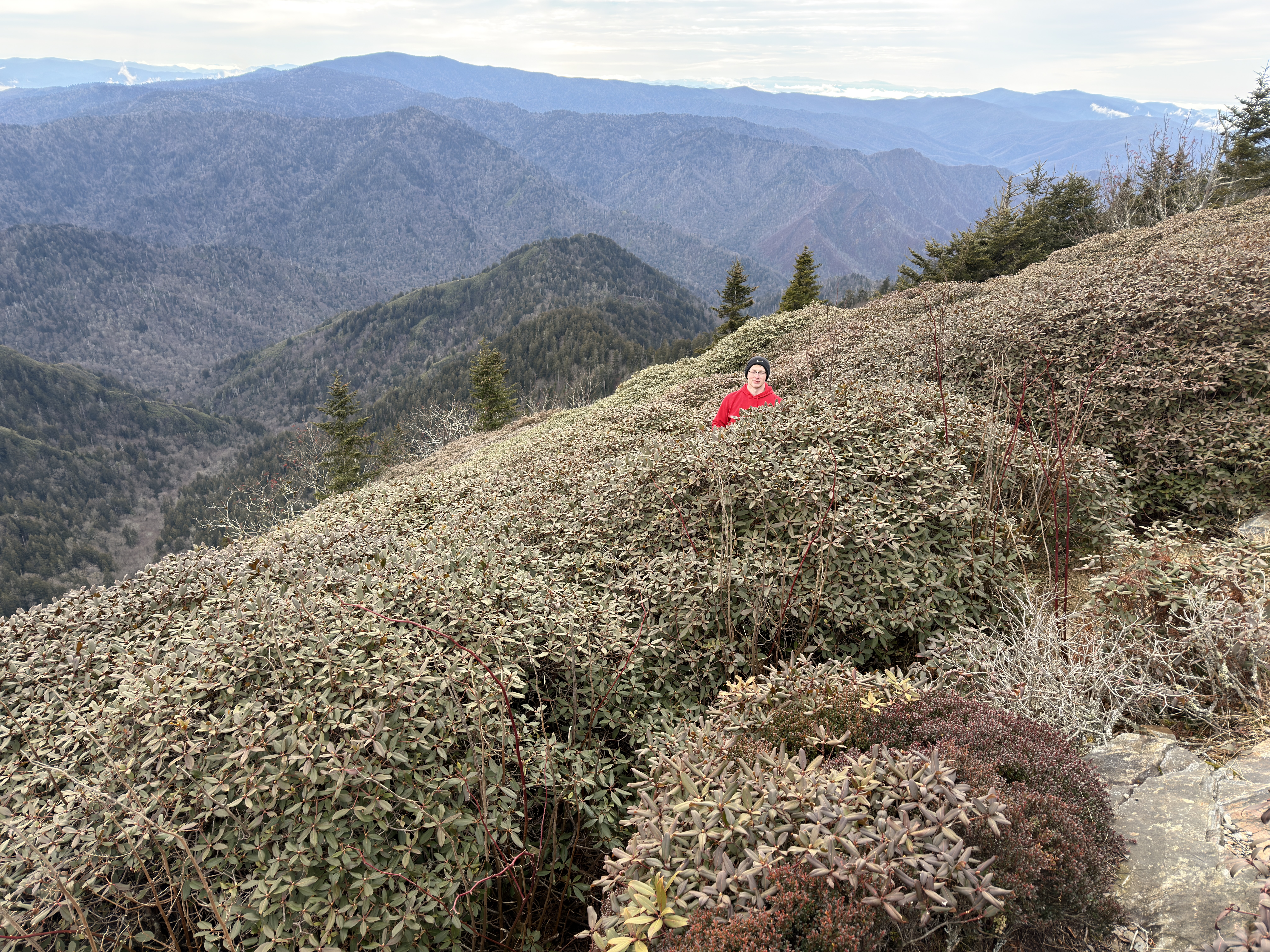 Caleb standing among mountain brush